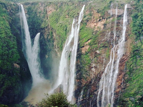 Untitled design (67)